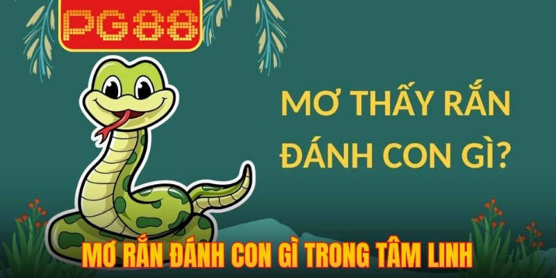 Mơ rắn đánh con gì trong tâm linh