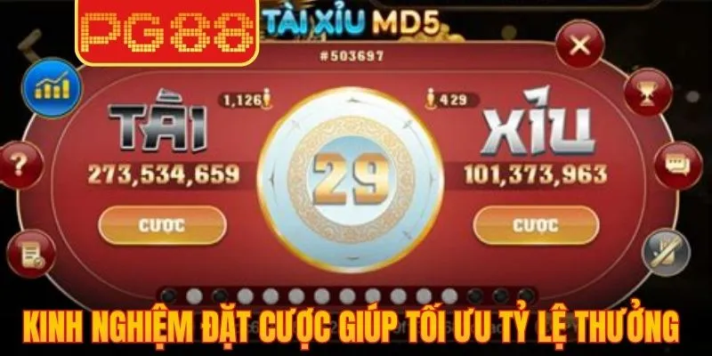 Kinh nghiệm đặt cược giúp tối ưu tỷ lệ nhận thưởng lớn